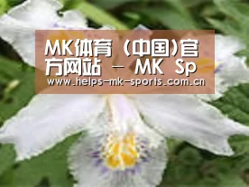 产品名称二