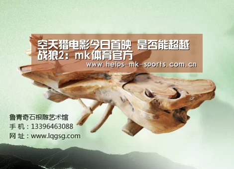 空天猎电影今日首映 是否能超越战狼2：mk体育官方