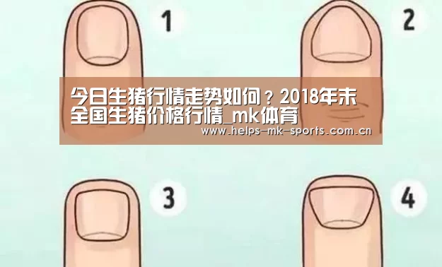 今日生猪行情走势如何?2018年末全国生猪价格行情_mk体育(图2) mk体育官方