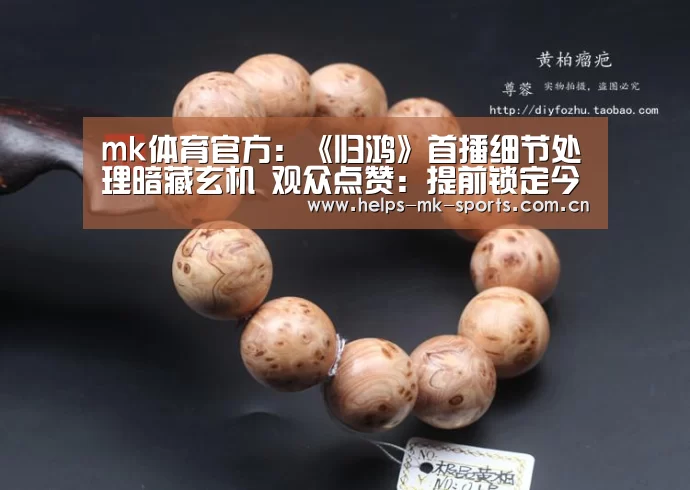 mk体育官方：《归鸿》首播细节处理暗藏玄机 观众点赞：提前锁定今年最强谍战剧