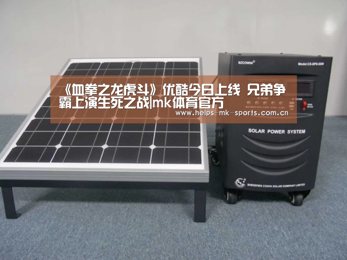 《血拳之龙虎斗》优酷今日上线 兄弟争霸上演生死之战|mk体育官方(图2) mk体育