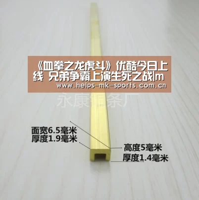 《血拳之龙虎斗》优酷今日上线 兄弟争霸上演生死之战|mk体育官方